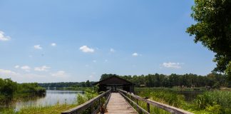 Cypress Black Bayou Park and Recreation Area - Louisiane