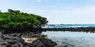 Plage aux iles galapagos