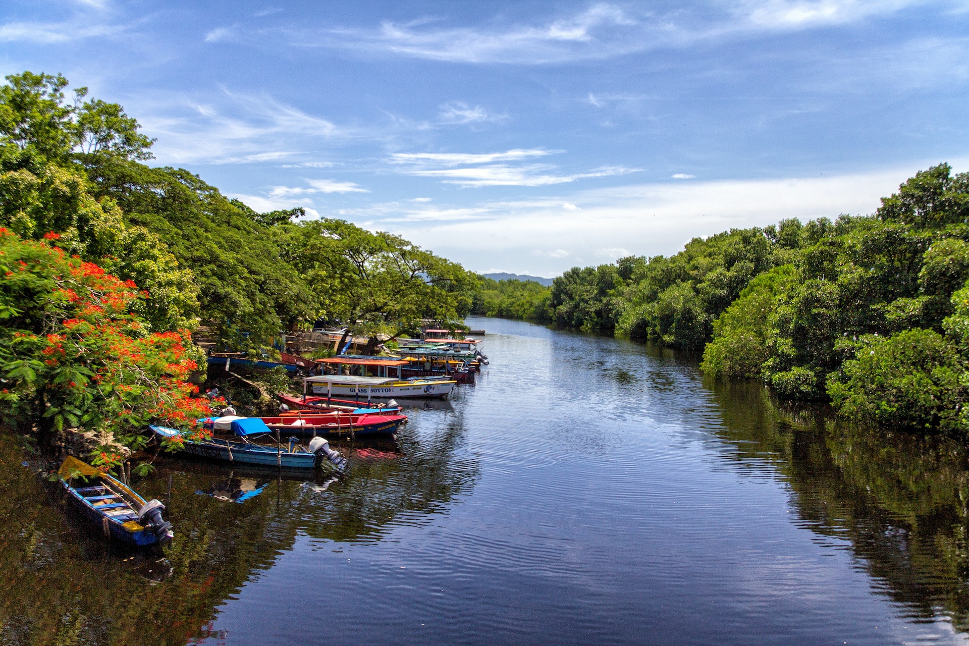 Paysages de la Jamaïque