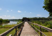 Cypress Black Bayou Park and Recreation Area - Louisiane