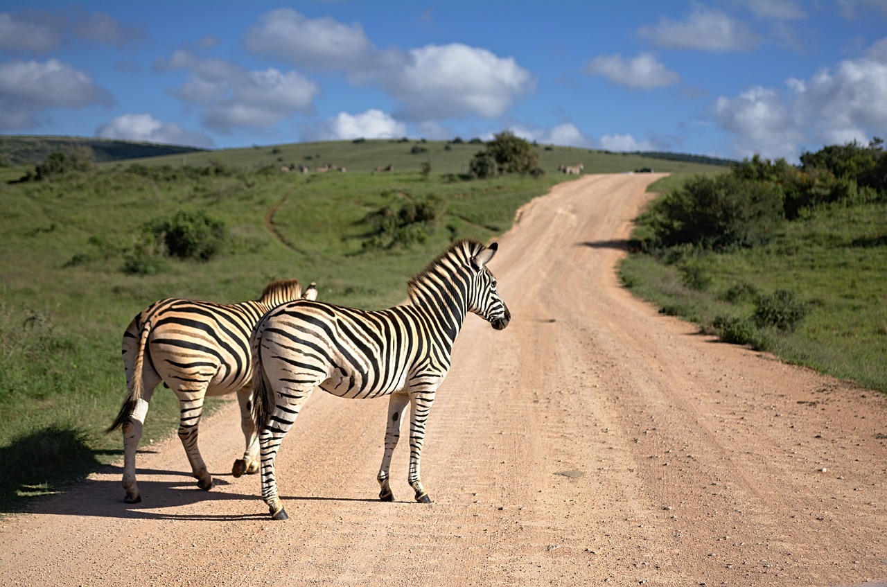 Afrique du Sud