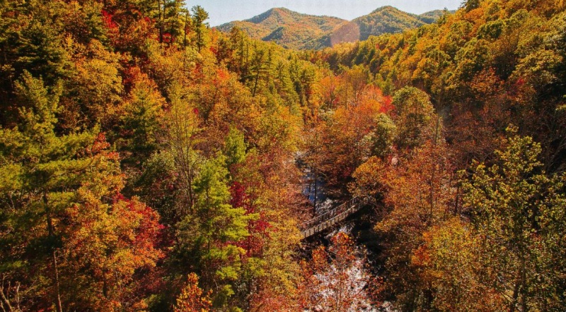 Le sentier Virginia Creeper Trail. Photo par Sam Dean 